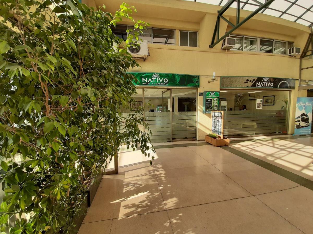 Nativo Hotel Y Cafeteria Talca  Extérieur photo